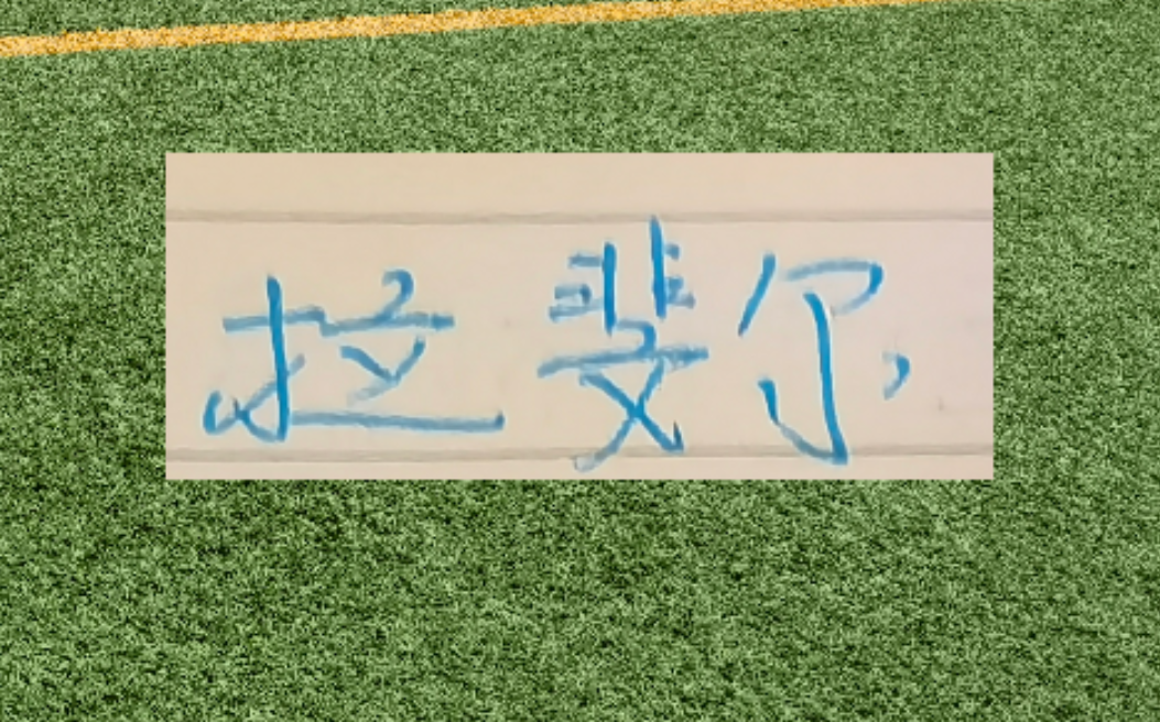 第一个赛季马莱莱进15个 路易斯21个 申花两条大鱼能进几个?